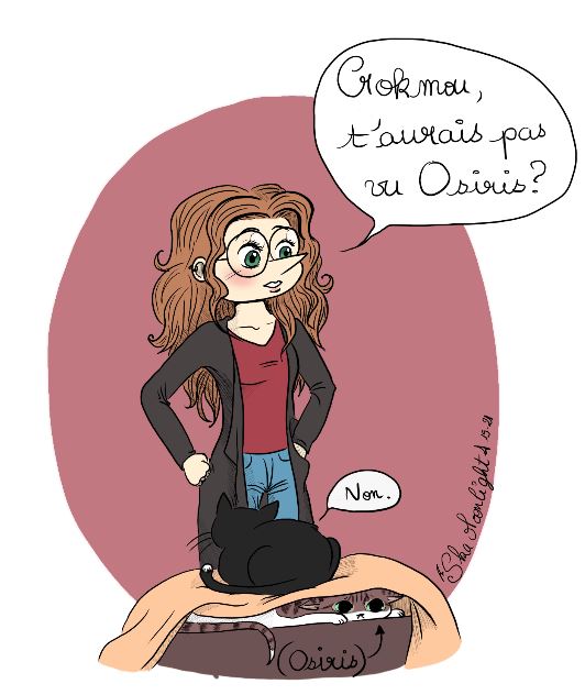 ou est osi.jpg